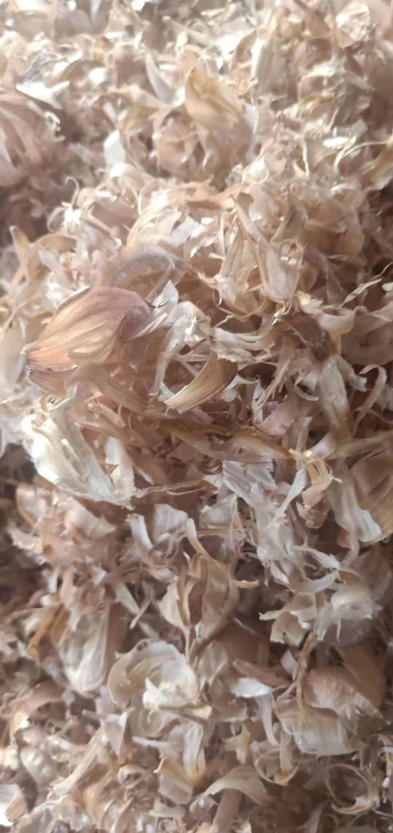 厂家直销优质大蒜皮夏季喂牛羊无土无霉变质量保证