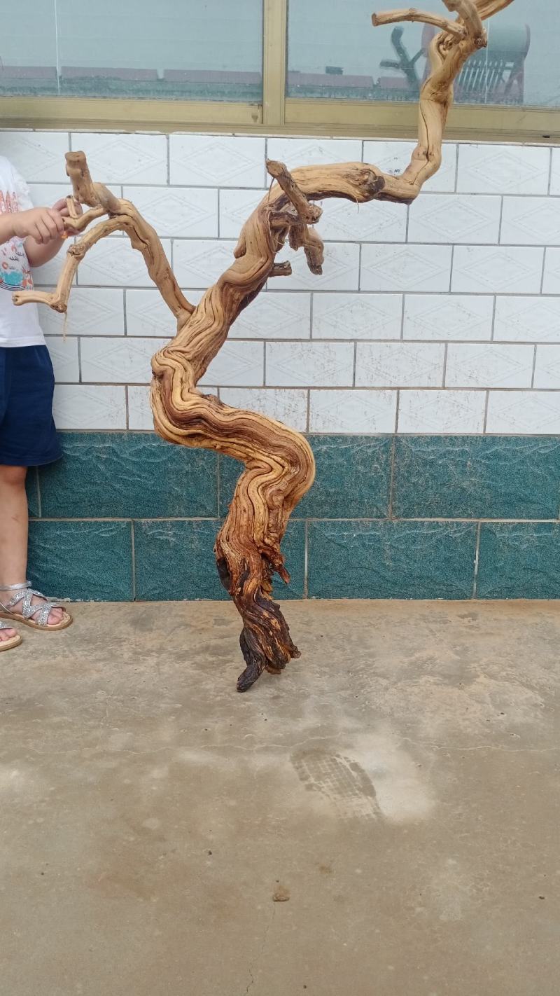 工艺品老桩