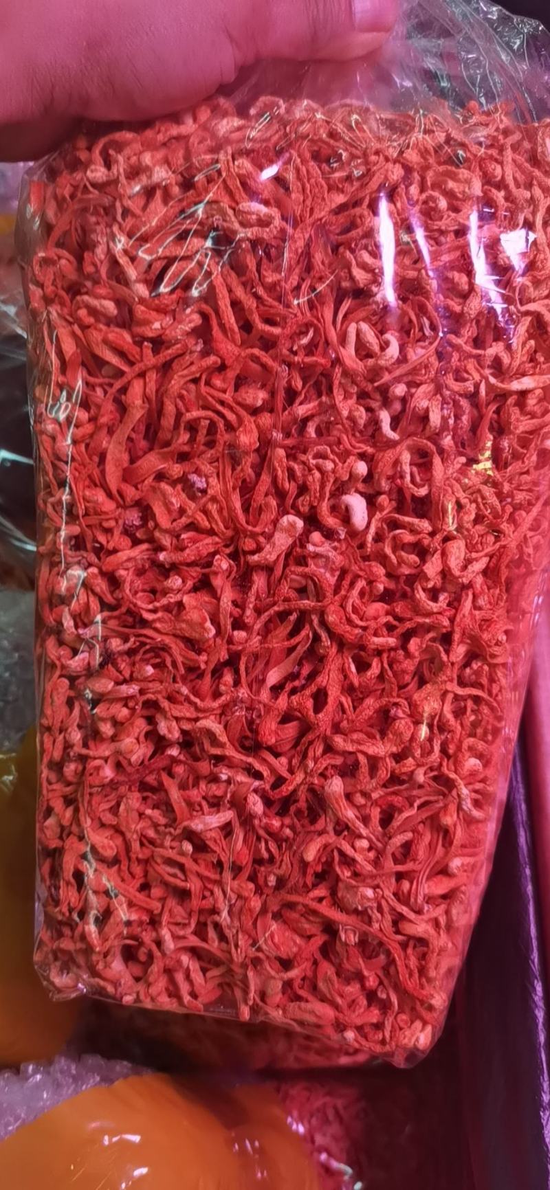 虫草花