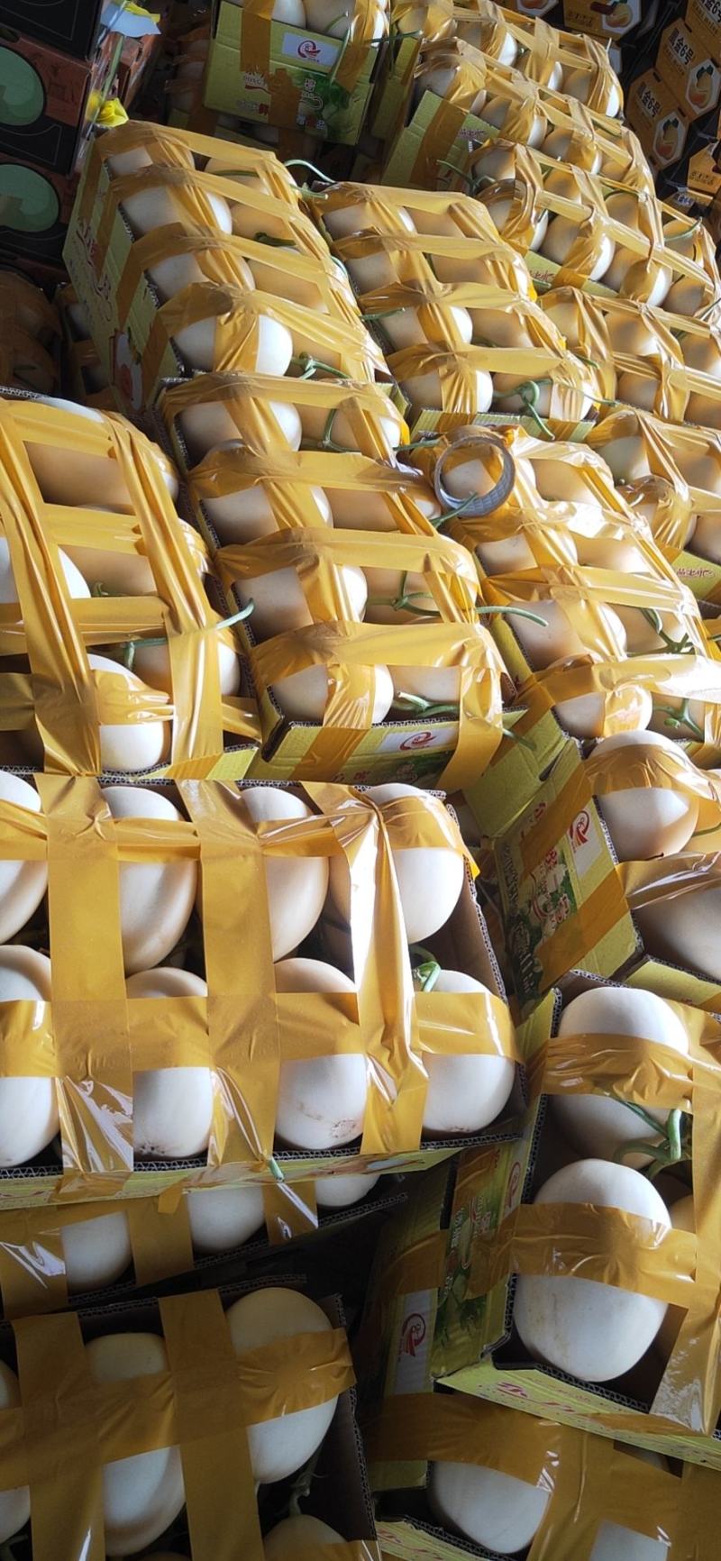 红金蜜瓜，东方蜜甜瓜零售电商生鲜超市量大从优