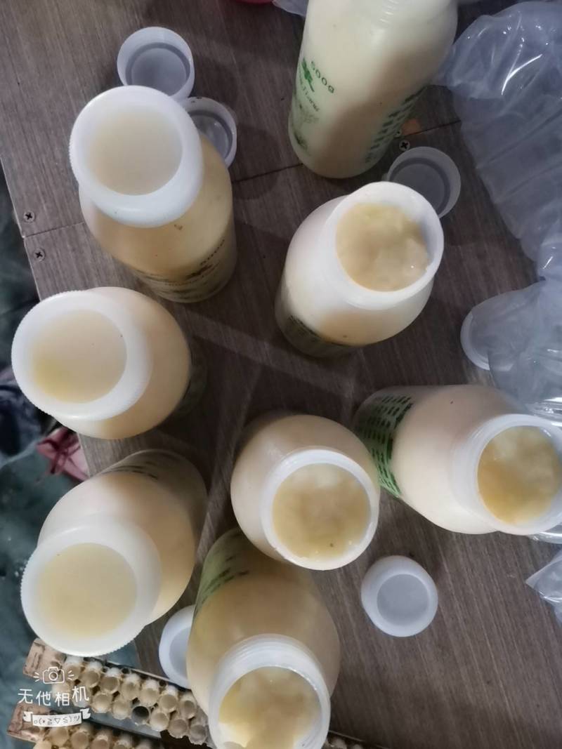 蜂王浆