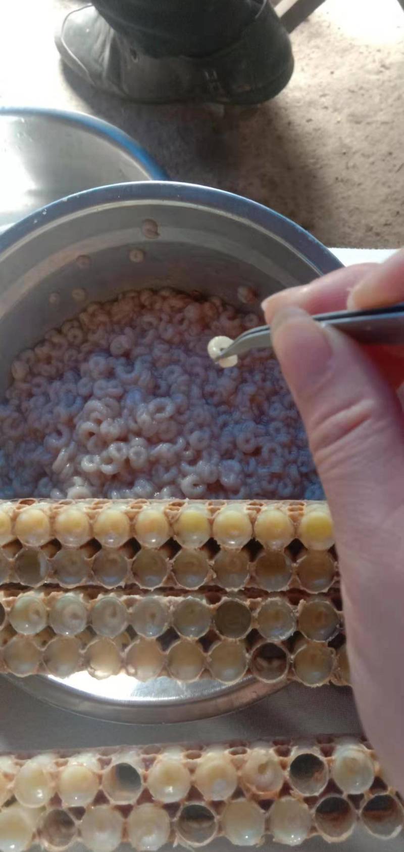 蜂王浆