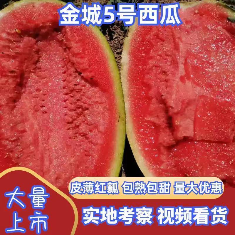 【推荐】宁夏西瓜宁夏量大从优包熟包甜欢迎来电咨