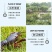 【龙虾尾】批发新鲜虾尾无冰衣龙虾尾龙虾球冷冻发出包邮