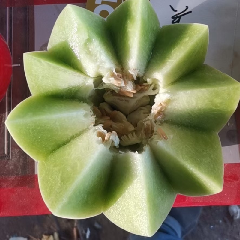 冰淇淋玉姑对接市场批发，零售，一件代发及挂链接