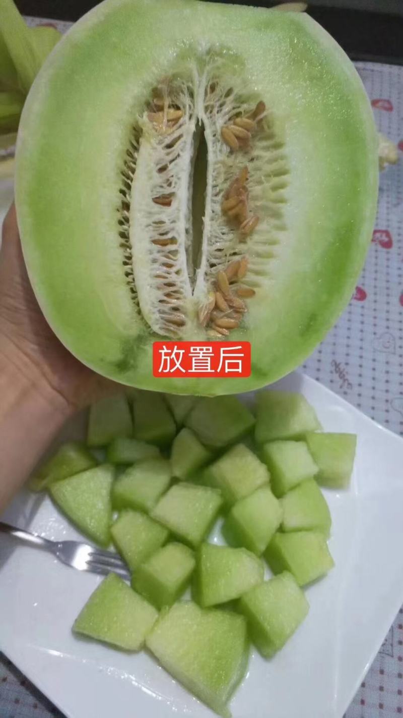 冰淇淋玉姑对接市场批发，零售，一件代发及挂链接