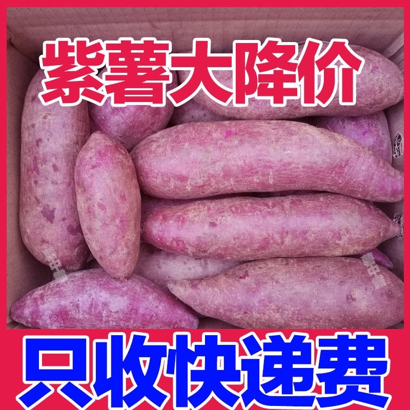 新鲜紫薯5斤9斤3斤一件代发，价格美丽。支持各大平台