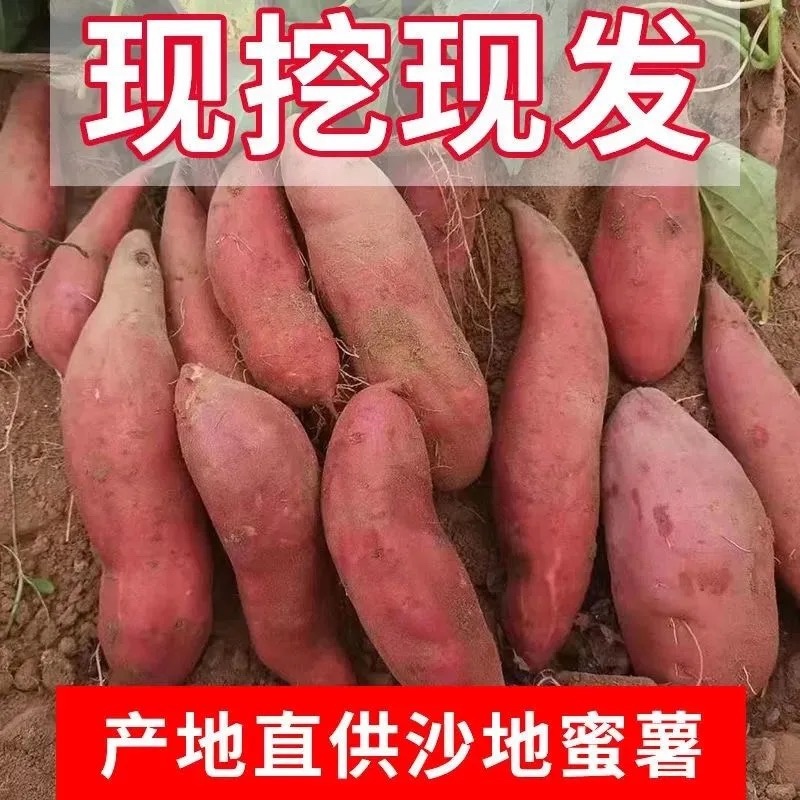 新鲜西瓜红红薯5斤9斤一件代发，支持各大平台