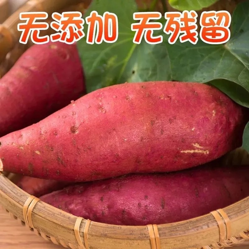 新鲜西瓜红红薯9斤5斤3斤代发，支持各大平台