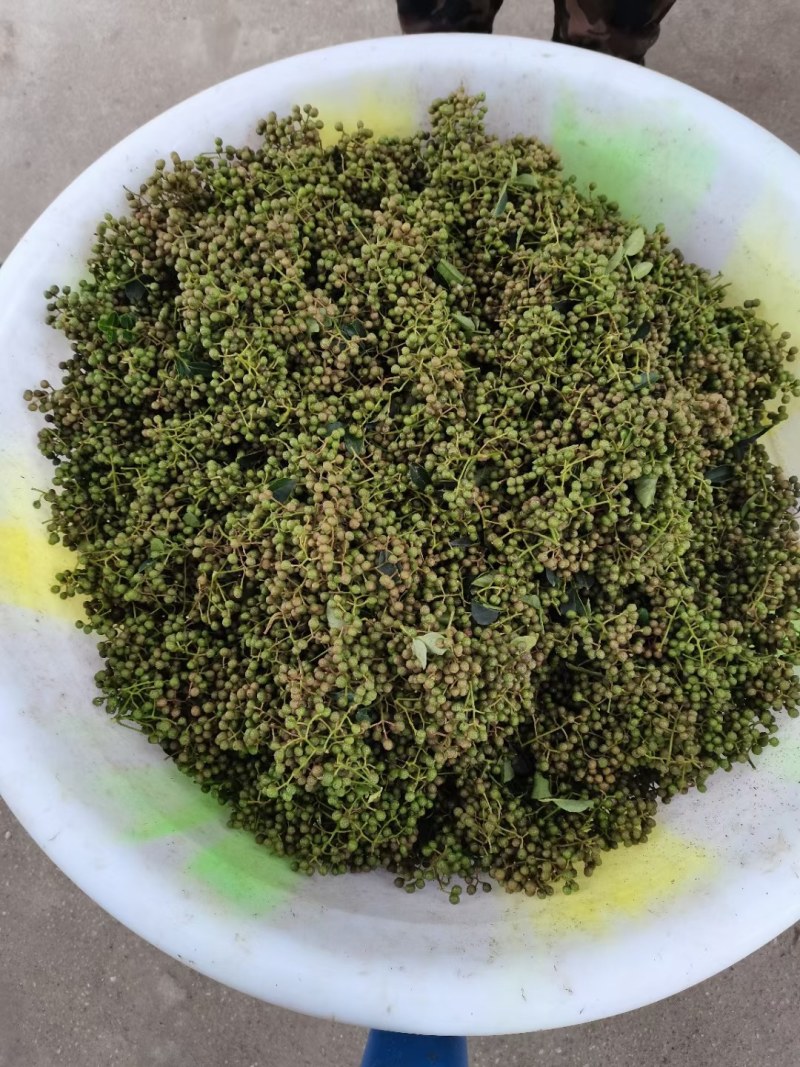 华州区鲜青椒【花椒】已大量上市，需要的老板联系