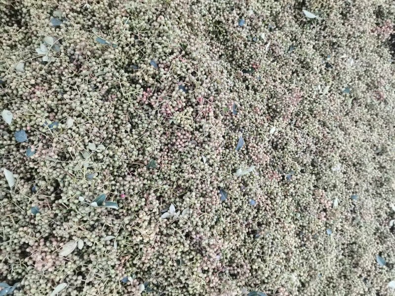 华州区鲜青椒【花椒】已大量上市，需要的老板联系
