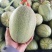 晓蜜25西洲蜜二五山东甜瓜，价格便宜，脆甜爽口，耐运输