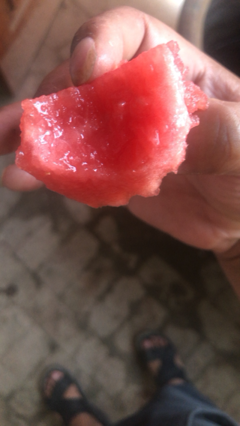 🔥陕西大荔县精品西瓜沙地甜王，吊兰，84.24各种