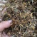 野生金银花大花，颜色好，干度够，香味浓郁，药食同源