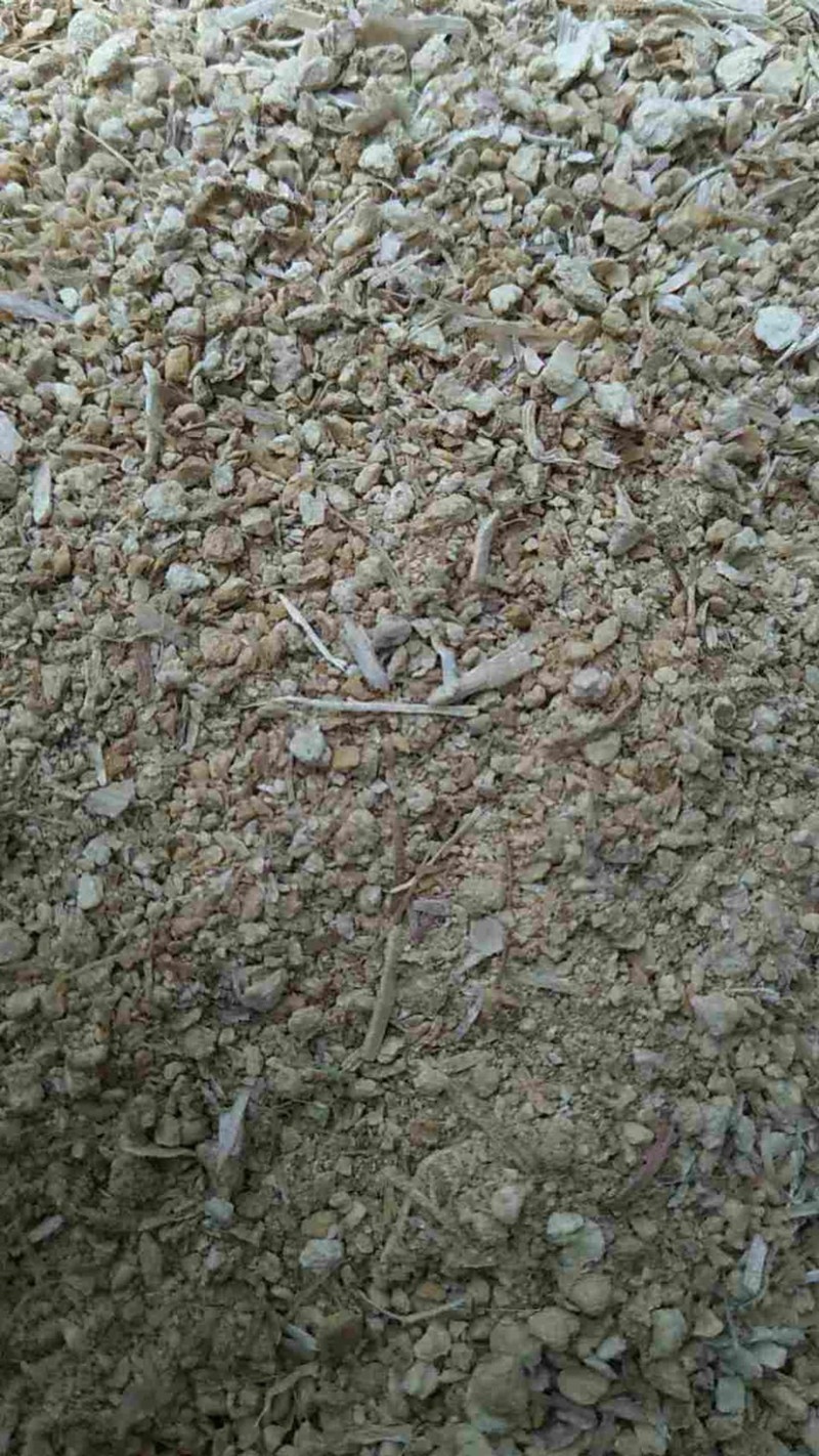 供应蒜托粉，大蒜托粉碎的