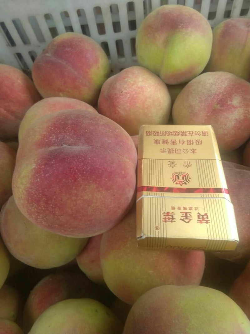 特大特甜仓方早生毛桃