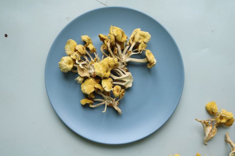 广州人鸡油菌食用菌榆黄菌菇类蘑菇专业一件代发