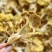 广州人鸡油菌食用菌榆黄菌菇类蘑菇专业一件代发