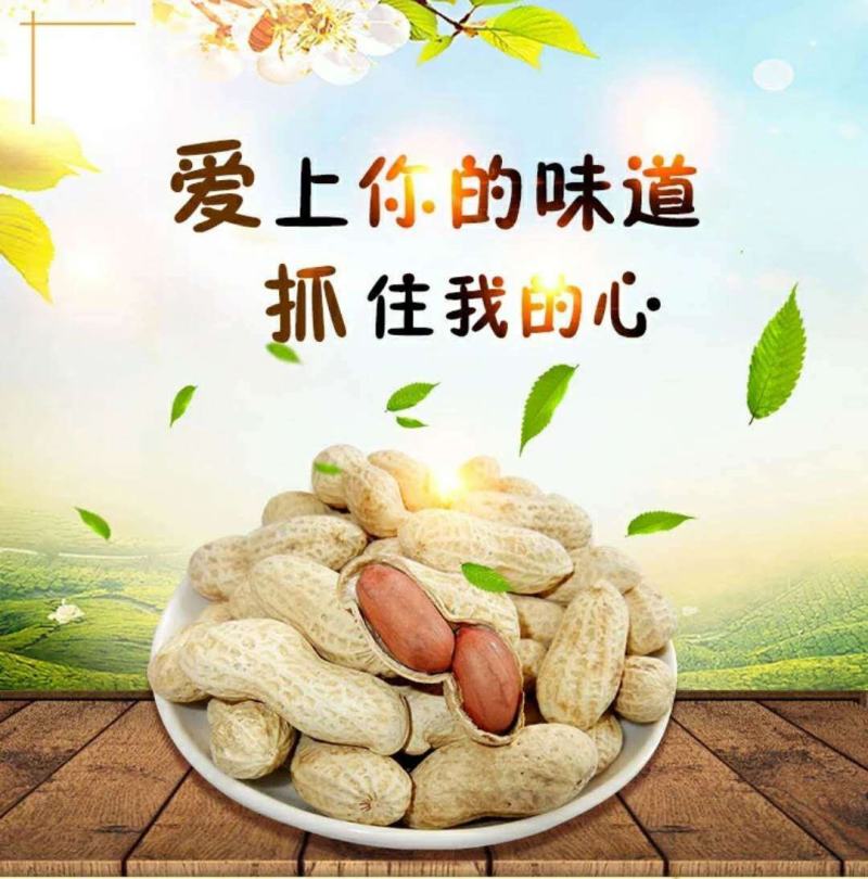 产地【原味炒熟花生】铁锅炒花生带壳熟花生多规格包邮