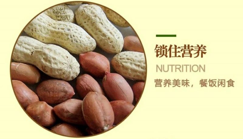 产地【原味炒熟花生】铁锅炒花生带壳熟花生多规格包邮