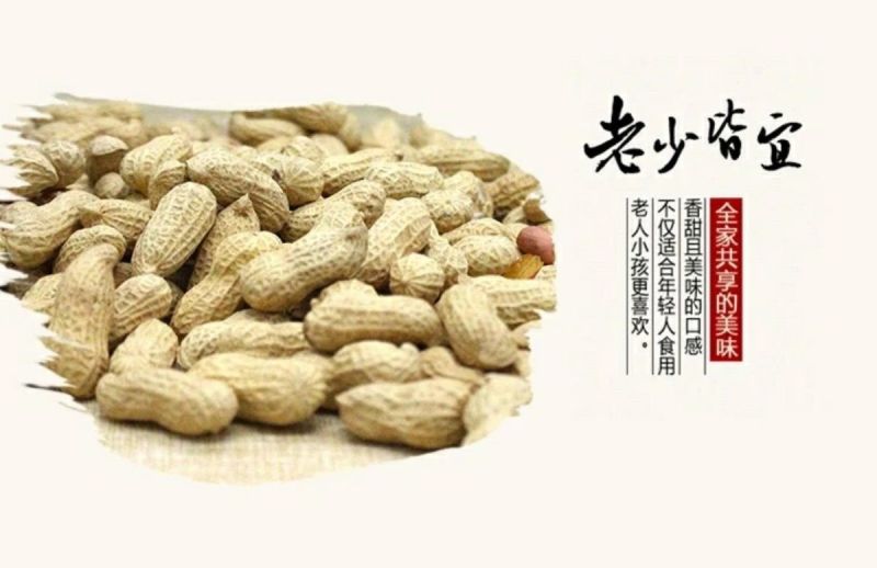 产地【原味炒熟花生】铁锅炒花生带壳熟花生多规格包邮