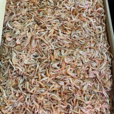 河虾干无盐虾干烤虾烘干虾一件20斤5斤起批发