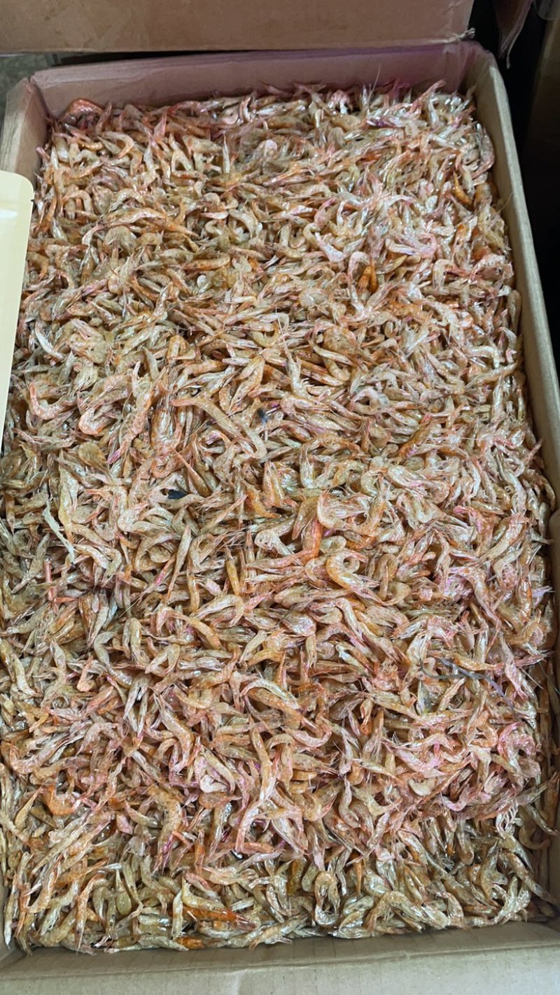 河虾干无盐虾干烤虾烘干虾一件20斤5斤起批发