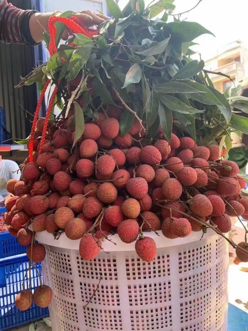 荔枝