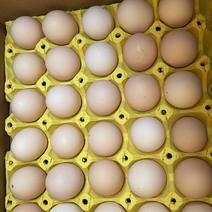 出售各种码数的粉蛋，蛋品优质，货源充足。