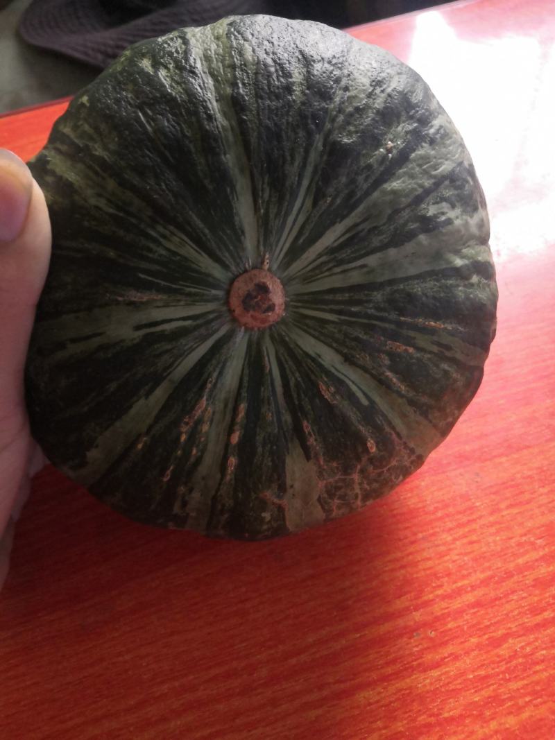 新西兰板栗南瓜大量上市，产地直供，日供货量大！