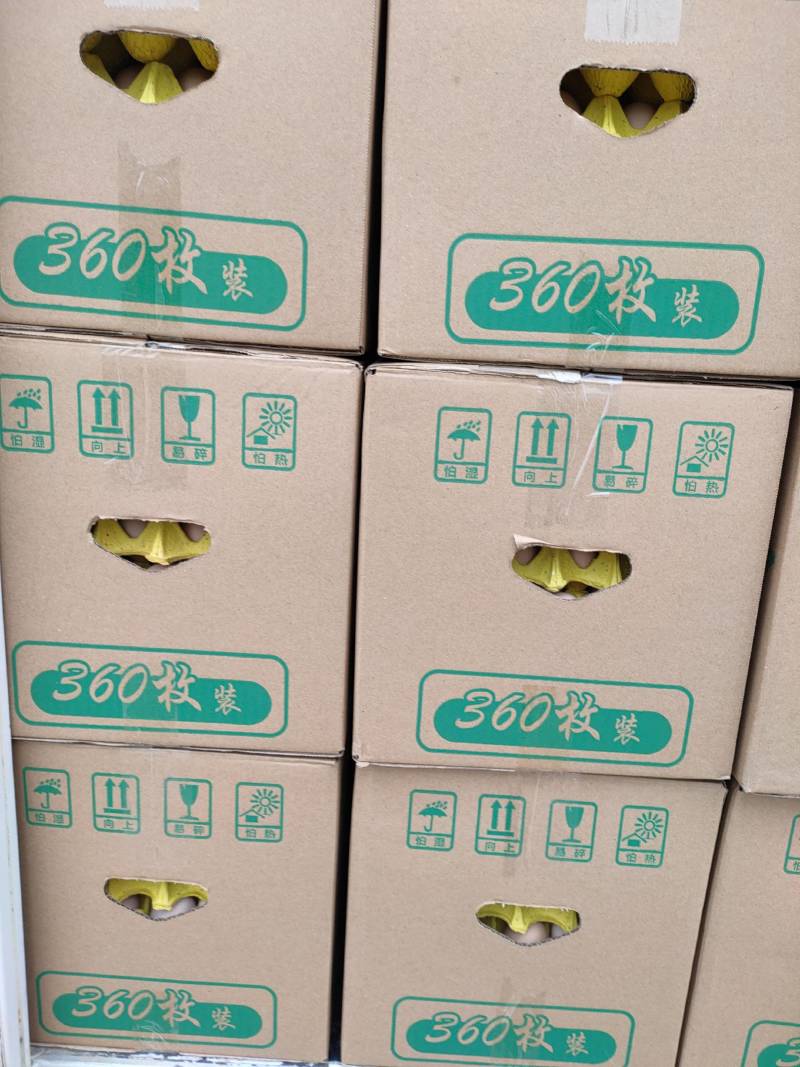 霍邱荣达一号白凤大午金凤海兰灰新阳黑花凤农五