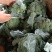 甘蓝/小米西兰花，颜色好，无烂花，