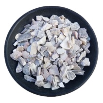 珍珠母500g/1000g正品明珠母蚌壳真珠母非中药材珍