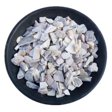 珍珠母500g/1000g正品明珠母蚌壳真珠母非中药材珍