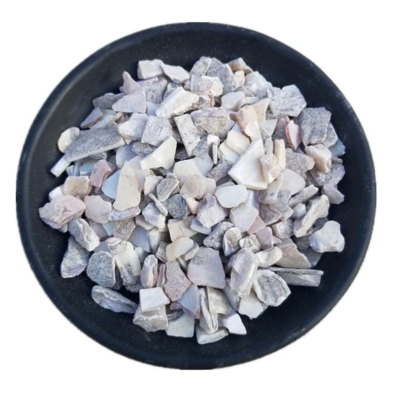 中药材珍珠母珍珠母珠母真珠母明珠母蚌壳100