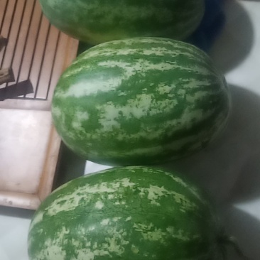 西瓜