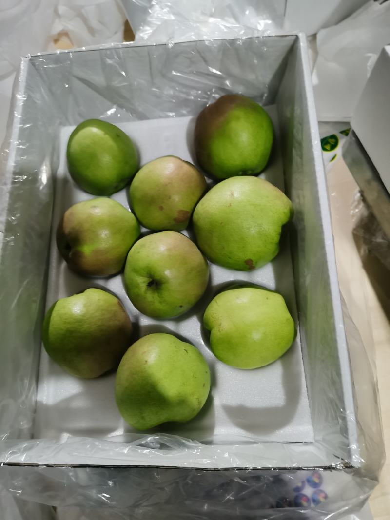 【产地**】玉露香梨河北香梨赵县梨产地供应