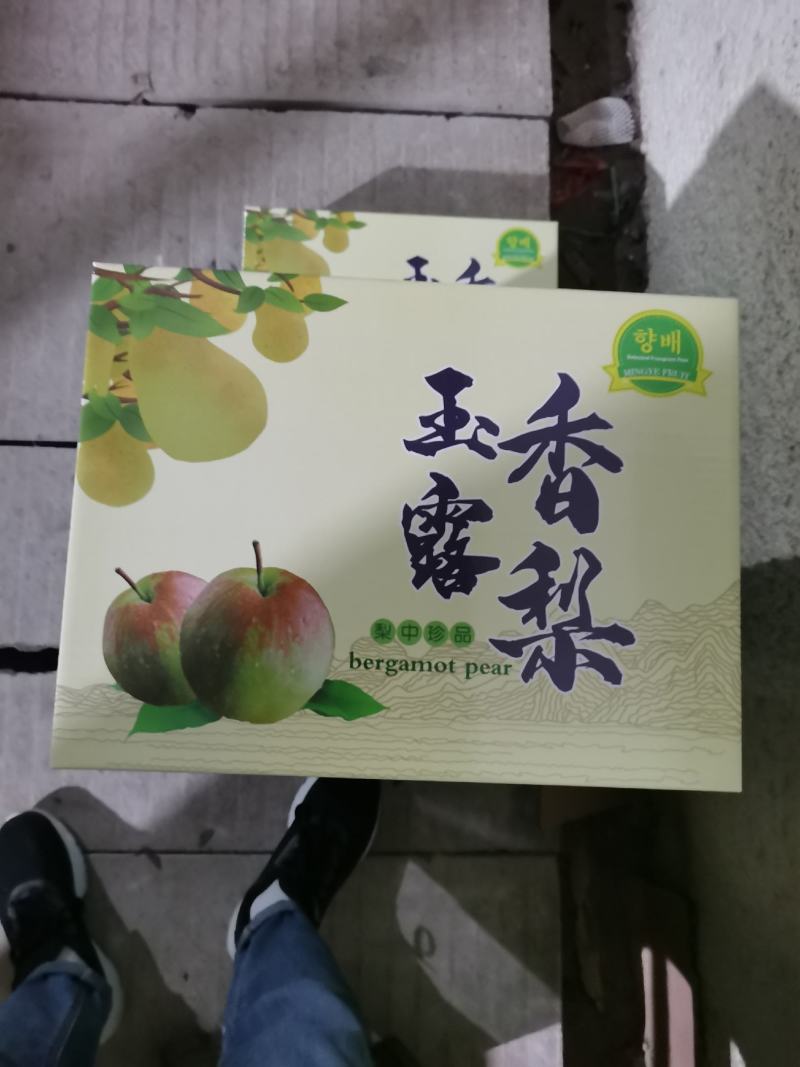 【产地**】玉露香梨河北香梨赵县梨产地供应
