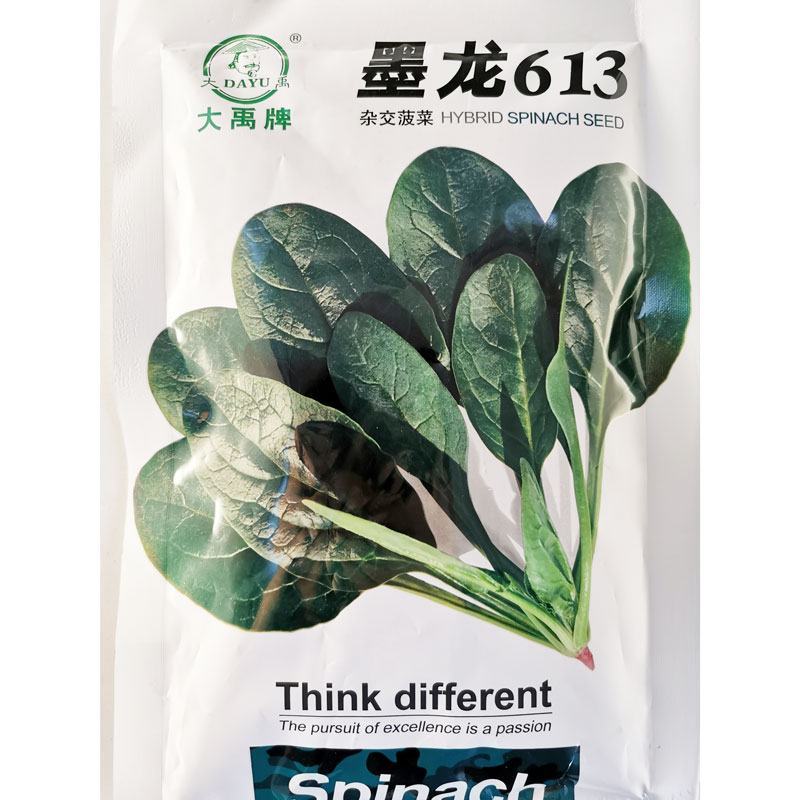 火焰山B耐热夏季菠菜种籽圆叶越夏菠菜种子丹麦菠菜种子