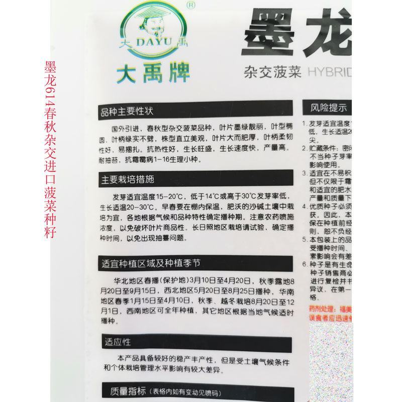 火焰山B耐热夏季菠菜种籽圆叶越夏菠菜种子丹麦菠菜种子