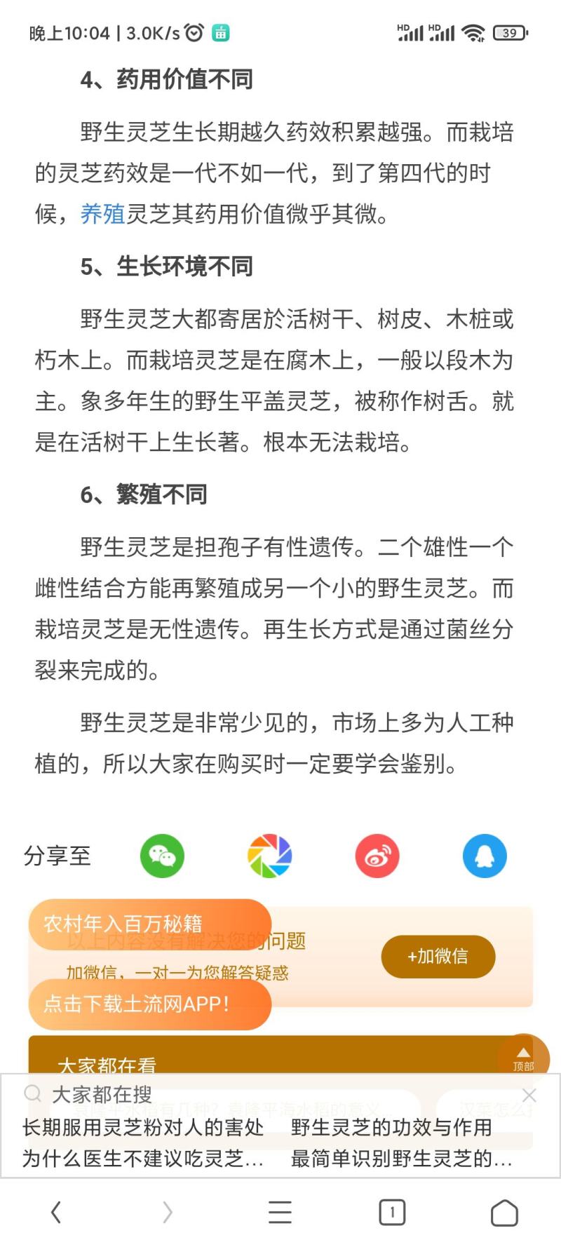 野生灵芝