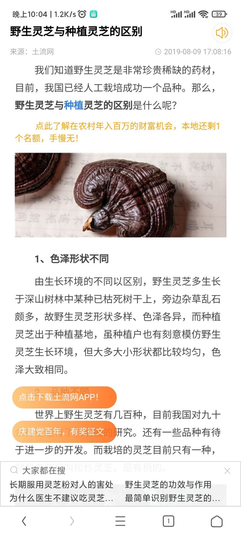 野生灵芝