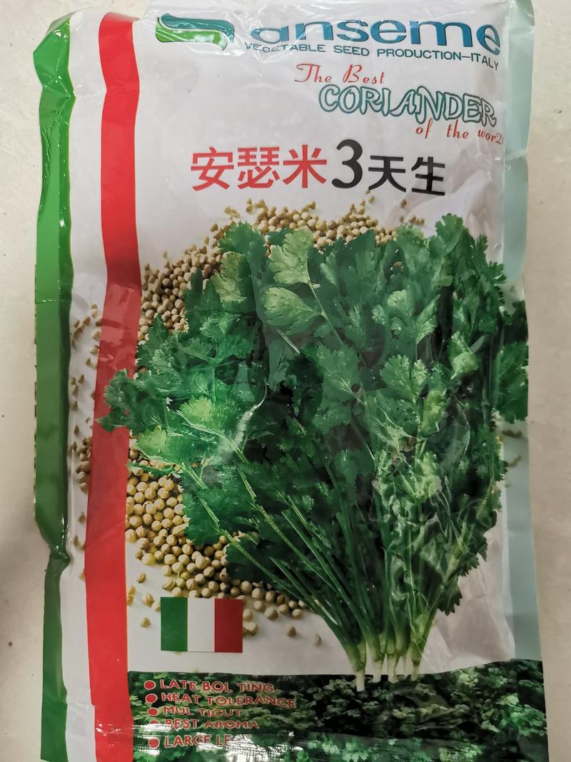 安瑟米3天香菜种籽进口耐热芫荽种籽原袋发货500克