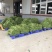 长豆角大量上市