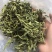 忧盾草全叶，黎王草，鳄嘴花，忧遁草