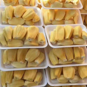 海南三亚菠萝蜜干苞黄肉电商果优选现摘现发价格优惠
