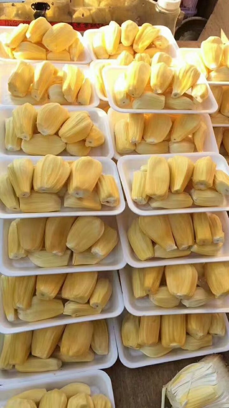 海南三亚菠萝蜜干苞黄肉电商果优选现摘现发价格优惠