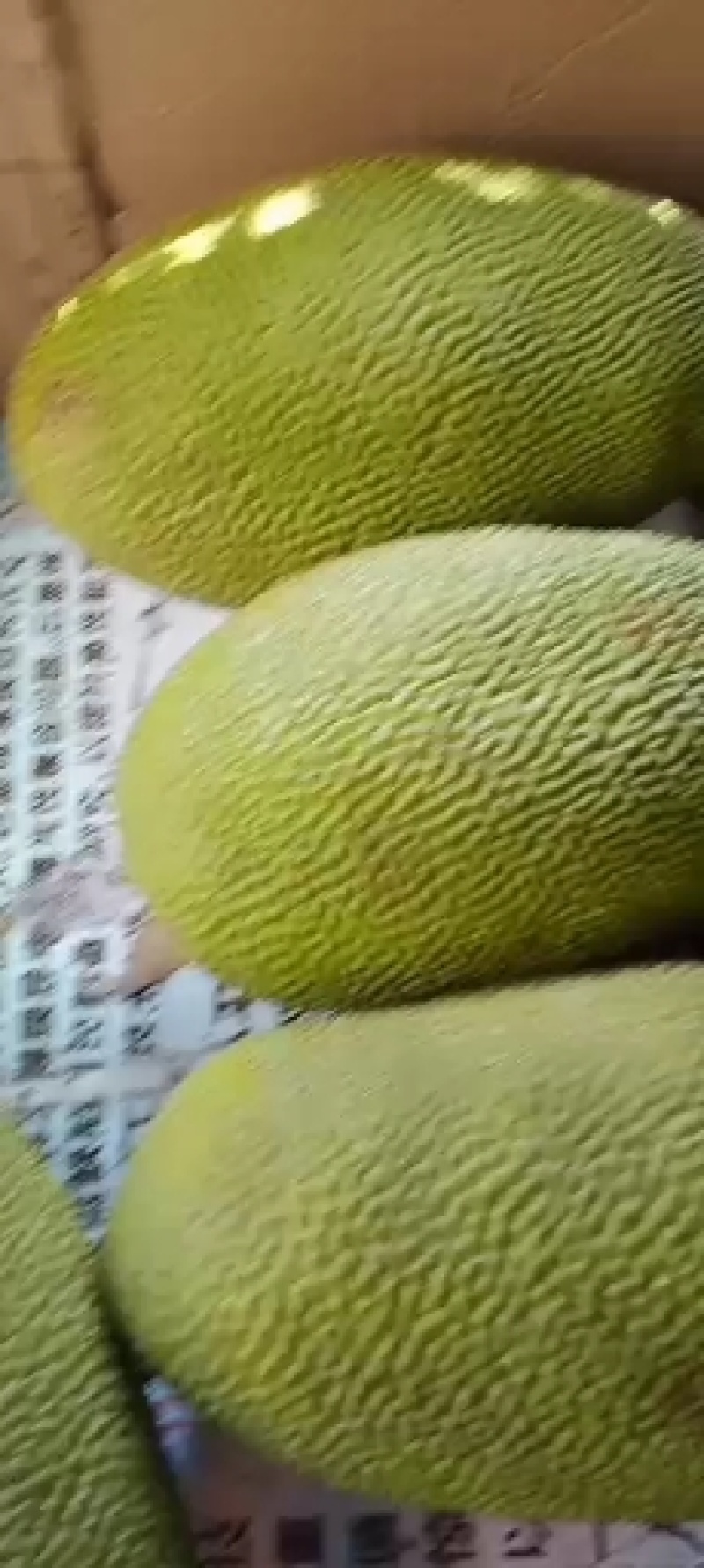 海南三亚菠萝蜜源头精品大果干苞黄肉现摘现发品质好