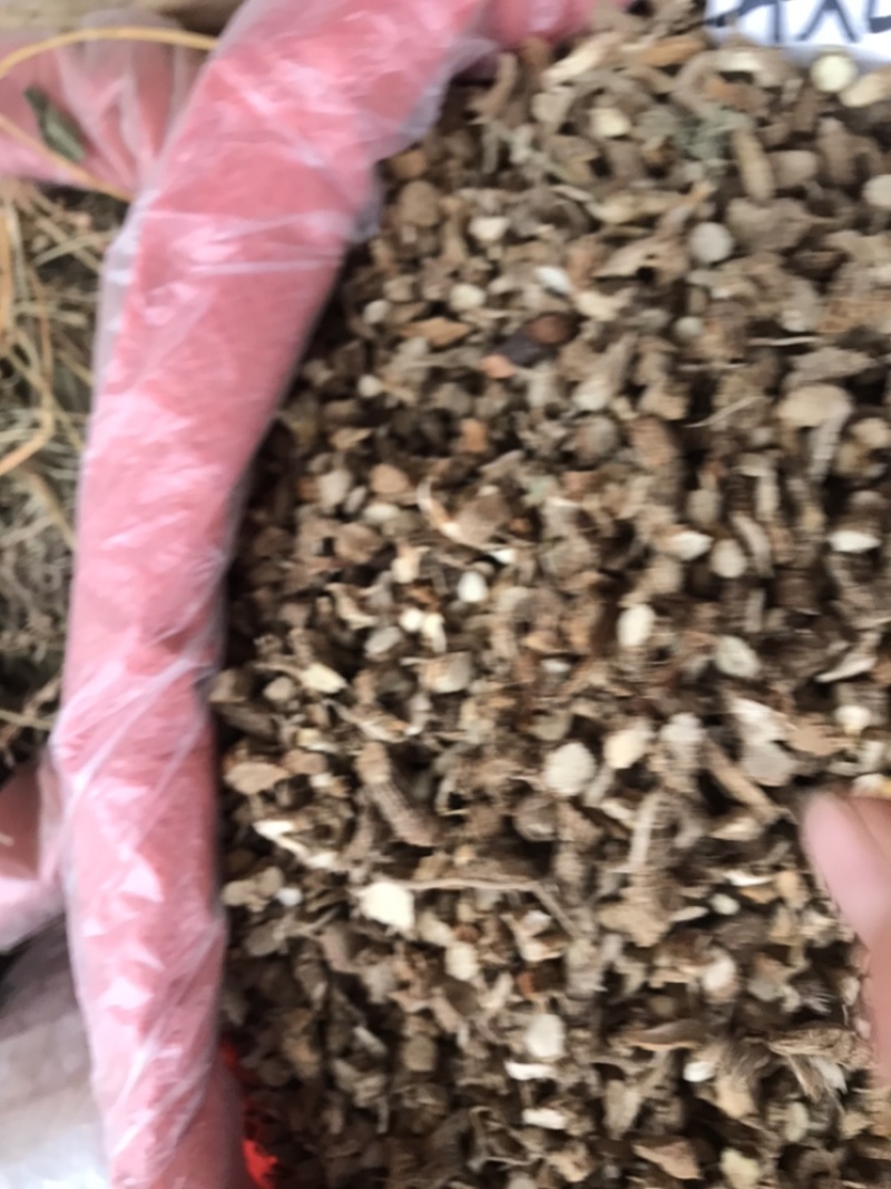 入地蜈蚣，蜘蛛抱蛋水洗切断