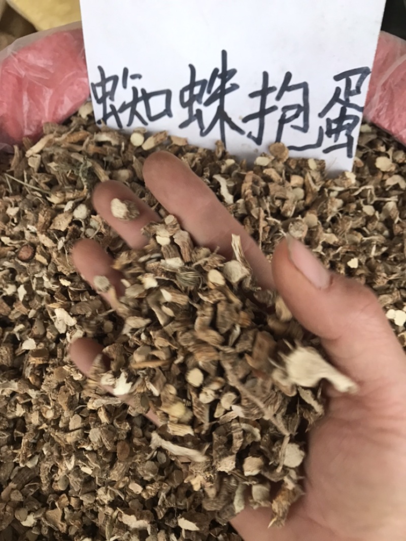 入地蜈蚣，蜘蛛抱蛋水洗切断